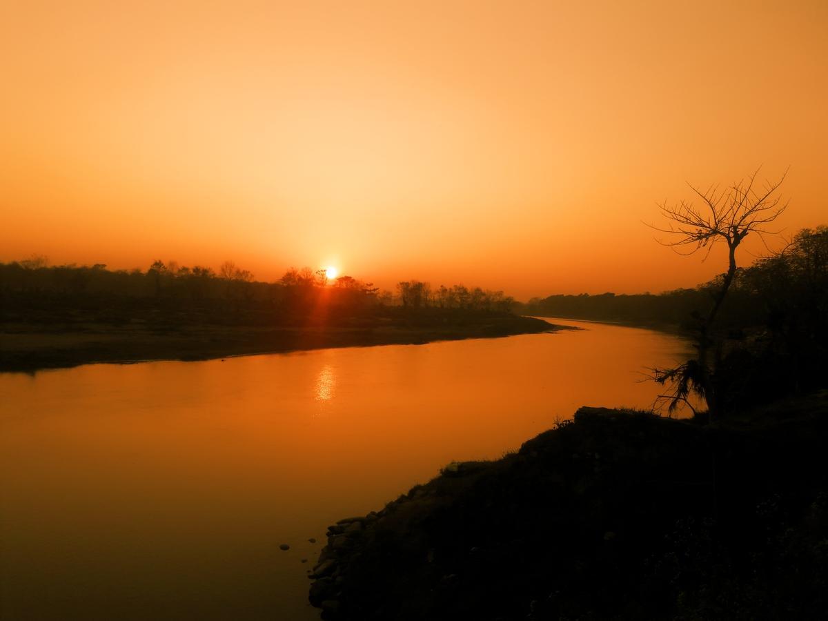 River Park Retreat Sauraha Luaran gambar